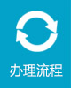 办理流程